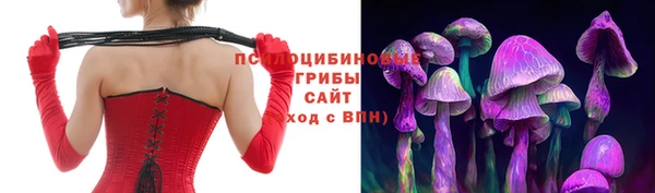 ГАЛЛЮЦИНОГЕННЫЕ ГРИБЫ Армянск