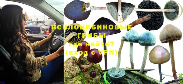 амф Алзамай